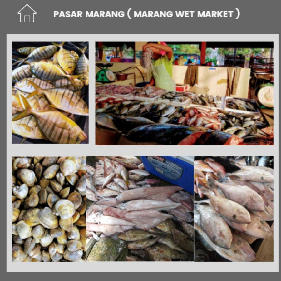 Fishing Village Marang Terengganu Kültér fotó